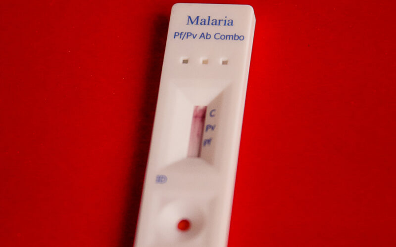 USP: vacina contra malária deverá entrar em fase de testes