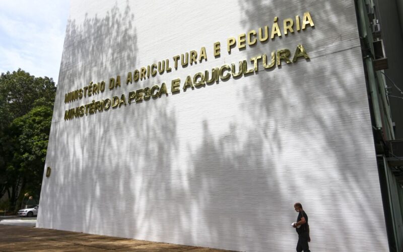 Lotes de café são apreendidos com presença de corpos estranhos e impurezas