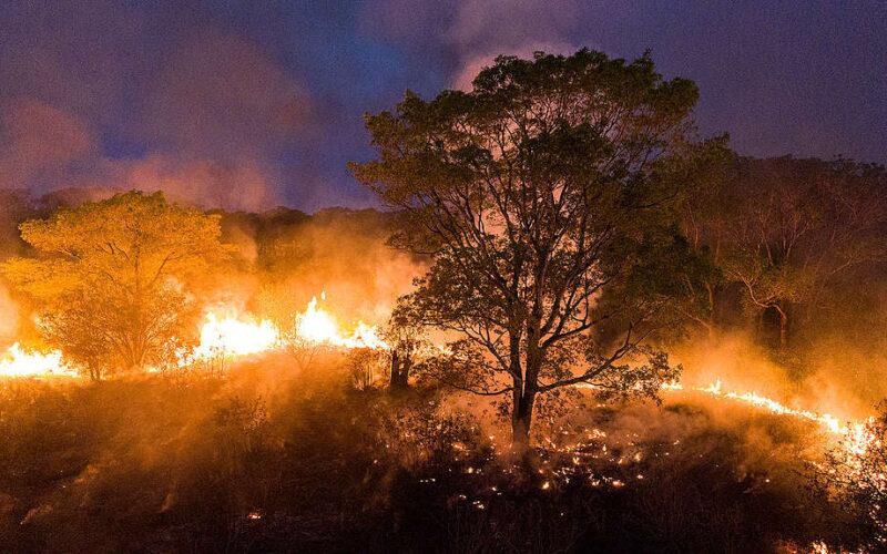 Pantanal tem mais de 3 mil incêndios em novembro; recorde histórico