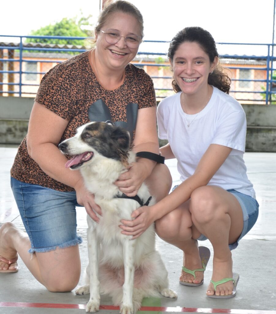 Centro de Zoonoses promove feira de adoção de cães e gatos neste sábado na Praça da Bandeira