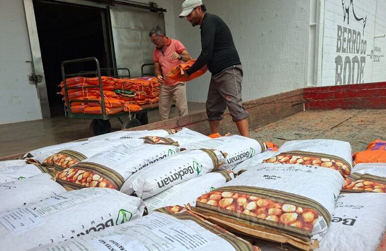 Sedap-PB entra na reta final de entregas do Programa de Sementes e inicia licitação para 2027