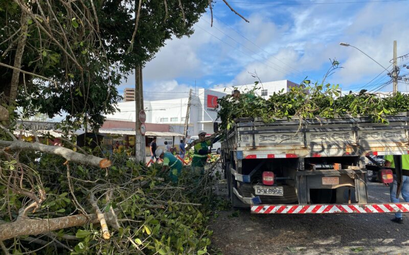 PMCG mantém equipes nas ruas após chuvas intensas e ventos fortes registrados no último domingo