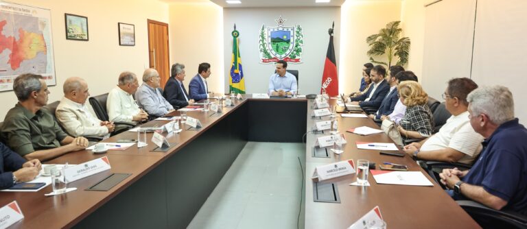 Governador Lucas Ribeiro recebe representantes da Federação das Indústrias para tratar sobre fortalecimento do setor