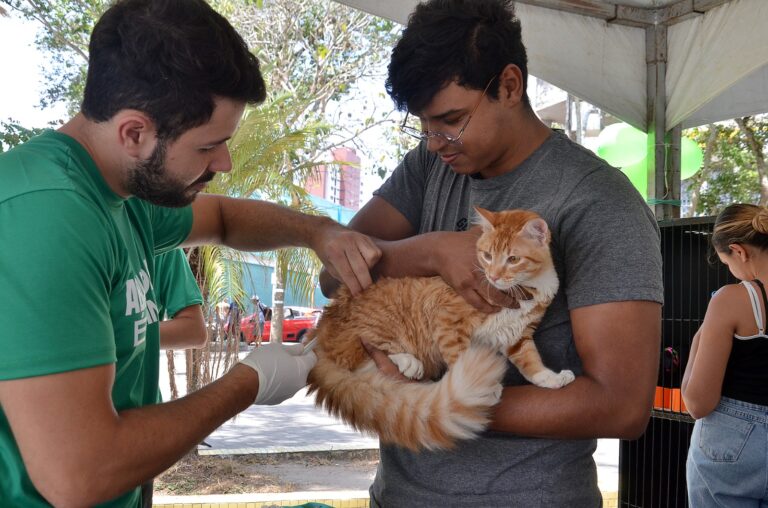 PMCG realiza Dia D de Vacinação Antirrábica no próximo sábado