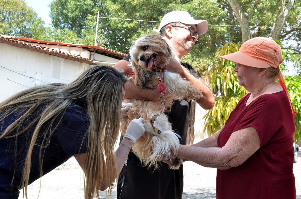 PMCG realiza segundo Dia D de Vacinação Antirrábica neste sábado (12)