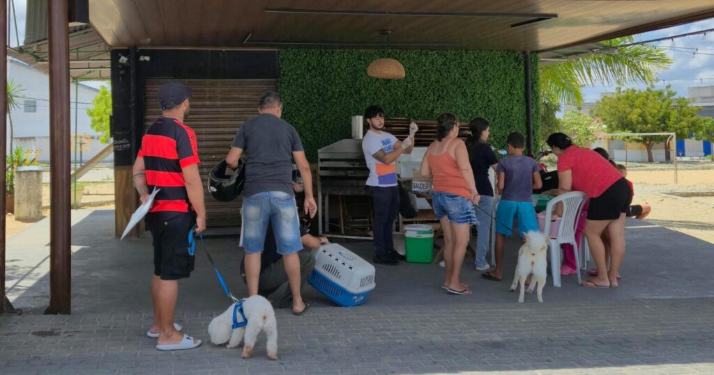 Mais de 23 mil doses de vacina antirrábica foram aplicadas em CG