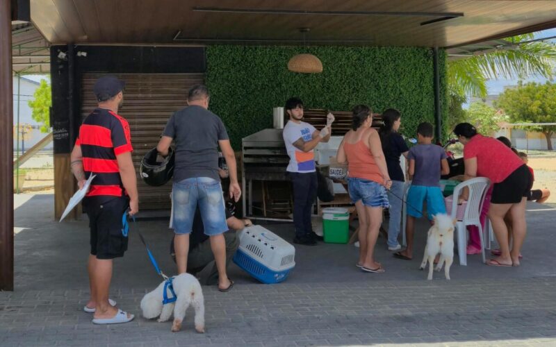 Mais de 23 mil doses de vacina antirrábica foram aplicadas em CG